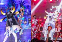 Caprichoso e Garantido disputam 59ª edição do Festival de Parintins Caprichoso e Garantido disputam 59ª edição do Festival de Parintins
