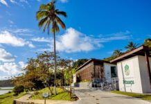 Governo Da Bahia Entrega Primeira Etapa Da Requalificação Do Parque De Pituaçu