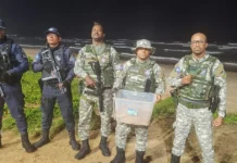Guarda Municipal Resgata Ninho Com Mais De 100 Ovos De Tartaruga Na Nova Orla De Pituaçu