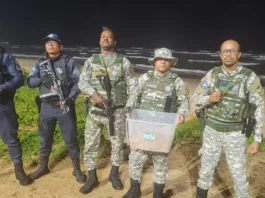 Guarda Municipal Resgata Ninho Com Mais De 100 Ovos De Tartaruga Na Nova Orla De Pituaçu