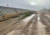 “A Situação Está Crítica!”: Moradores Denunciam Infraestrutura Do Bairro Papagaio, Em Feira De Santana