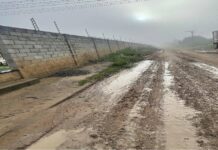 “A Situação Está Crítica!”: Moradores Denunciam Infraestrutura Do Bairro Papagaio, Em Feira De Santana