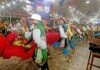 Confira A Programação E As Atrações Do São João Da Bahia 2026