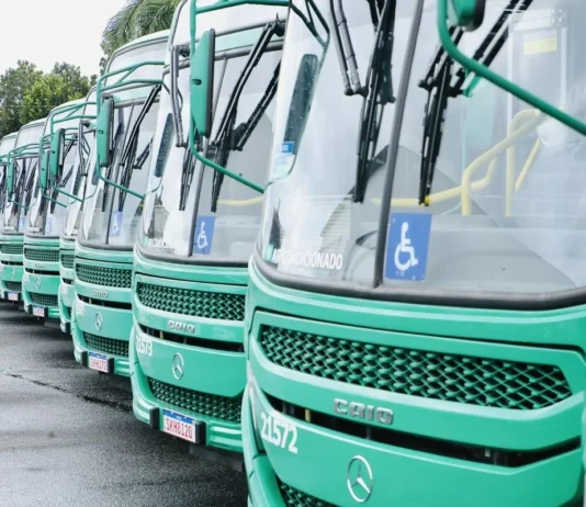 Salvador Reforça Linhas De ônibus E Amplia Atendimento Em Três Regiões