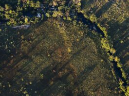 Financiamentos a projetos rurais sustentáveis terão juros mais baixos