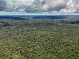 Fazenda autoriza crédito de US$ 1 bilhão do BID para Eco Invest Brasil Adversária em campo, Noruega é parceira de ações ambientais do Brasil