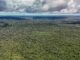 Fazenda autoriza crédito de US$ 1 bilhão do BID para Eco Invest Brasil Adversária em campo, Noruega é parceira de ações ambientais do Brasil