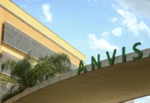 Anvisa aprova medicamento pediátrico contra doença de Chagas Anvisa aprova medicamento pediátrico contra doença de Chagas