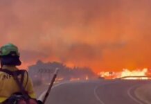 Incêndio florestal na Espanha provoca 11 mortes Incêndio florestal na Espanha provoca 11 mortes
