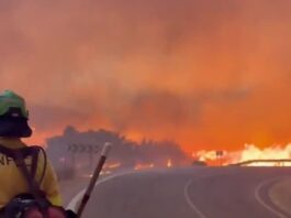 Incêndio florestal na Espanha provoca 11 mortes Incêndio florestal na Espanha provoca 11 mortes