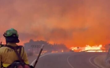 Incêndio florestal na Espanha provoca 11 mortes Incêndio florestal na Espanha provoca 11 mortes