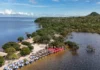 Turismo comunitário fortalece bioeconomia em Alter do Chão Turismo comunitário fortalece bioeconomia em Alter do Chão