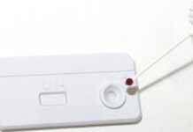 OMS divulga relatório de enfrentamento ao HIV, hepatites virais e ISTs OMS divulga relatório de enfrentamento ao HIV, hepatites virais e ISTs