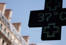 OMS: Europa pode enfrentar “semanas mais mortais” com onda de calor