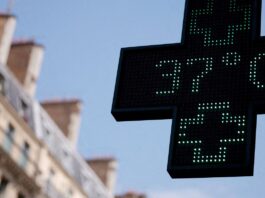 OMS: Europa pode enfrentar “semanas mais mortais” com onda de calor