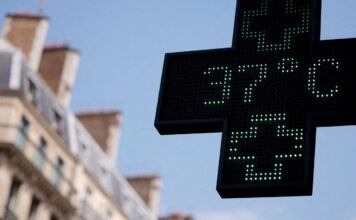 OMS: Europa pode enfrentar “semanas mais mortais” com onda de calor