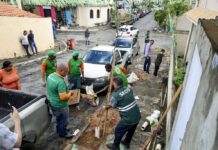 Quer Uma árvore Na Calçada De Casa? Saiba Como Solicitar O Plantio Gratuito