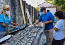 Produção De Sementeiras Impulsiona Restauração De Corais Na Baía De Todos-os-Santos