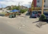 Cachorro Comunitário é Encontrado Morto Com Sinais De Violência Em Salvador