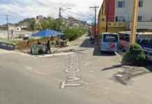 Cachorro Comunitário é Encontrado Morto Com Sinais De Violência Em Salvador