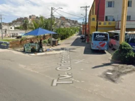 Cachorro Comunitário é Encontrado Morto Com Sinais De Violência Em Salvador