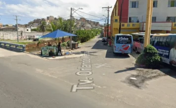 Cachorro Comunitário é Encontrado Morto Com Sinais De Violência Em Salvador