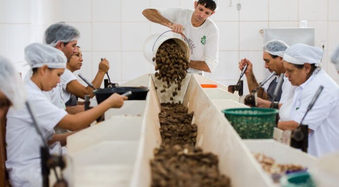 Consulta sobre bens sustentáveis no acordo Mercosul–UE acaba na quarta