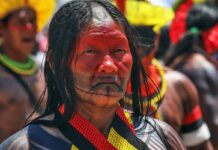 Busca pela demarcação de territórios marca luta indígena no Brasil Busca pela demarcação de territórios marca luta indígena no Brasil