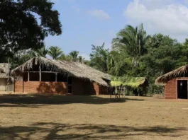 SUS ganha política de saúde integral para população quilombola SUS ganha política de saúde integral para população quilombola