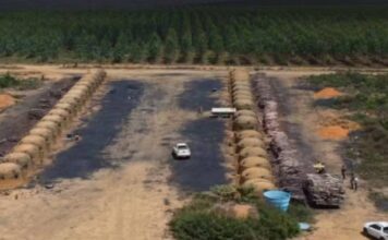 Ação Do MP Identifica Mais De 200 Hectares De Desmatamento Ilegal Na Bahia
