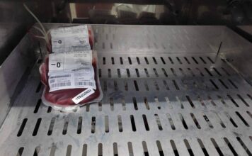 Nova Lei Cria Campanha Para Reforçar Estoques De Sangue No País; Veja Como Será