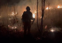 Incêndio De Grandes Proporções Mobiliza Bombeiros Na Serra Da Bandeira, Em Barreiras