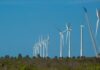 Projeto mapeia caminhos para economia verde no Nordeste