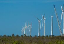Projeto mapeia caminhos para economia verde no Nordeste