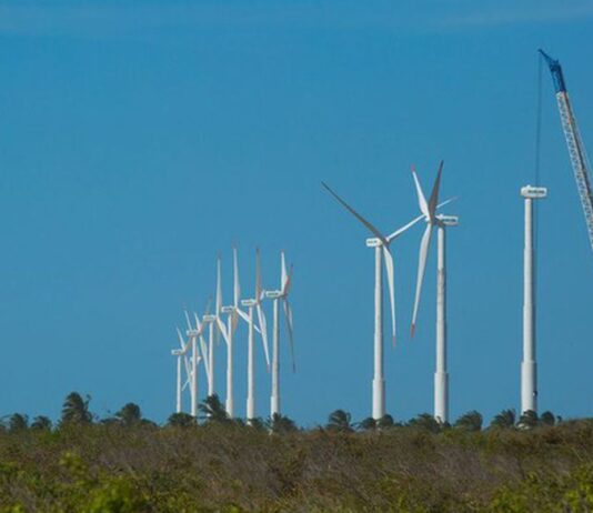 Projeto mapeia caminhos para economia verde no Nordeste
