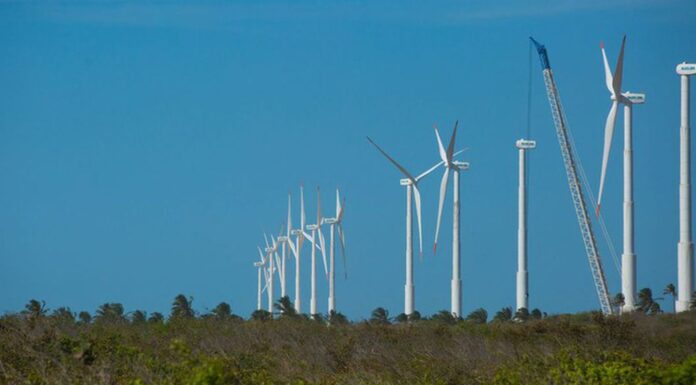 Projeto mapeia caminhos para economia verde no Nordeste