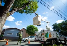 Neoenergia Programa Desligamentos De Energia Em 29 Bairros De Salvador E RMS Nesta Semana; Confira A Lista