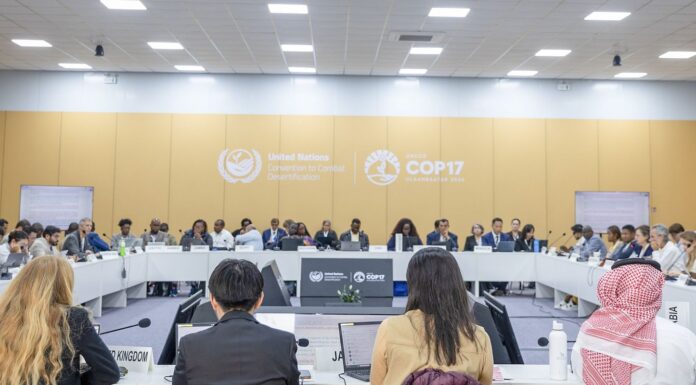 COP17 caminha para novo adiamento de acordo de combate às secas