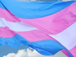 Salvador recebe a 7ª Marcha Trans da Bahia Salvador recebe a 7ª Marcha Trans da Bahia