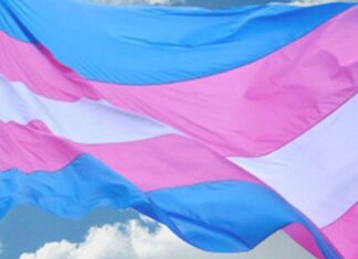 Salvador recebe a 7ª Marcha Trans da Bahia Salvador recebe a 7ª Marcha Trans da Bahia