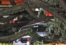 Chuvas fortes levam Defesa Civil a emitir mais de 50 alertas em SP Chuvas fortes levam Defesa Civil a emitir mais de 50 alertas em SP