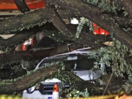 Chuvas fortes levam Defesa Civil a emitir mais de 50 alertas em SP Chuvas fortes levam Defesa Civil a emitir mais de 50 alertas em SP