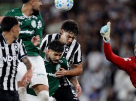 Botafogo segura Palmeiras e ajuda Flamengo, novo líder do Brasileirão Botafogo segura Palmeiras e ajuda Flamengo, novo líder do Brasileirão