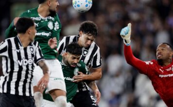 Botafogo segura Palmeiras e ajuda Flamengo, novo líder do Brasileirão Botafogo segura Palmeiras e ajuda Flamengo, novo líder do Brasileirão