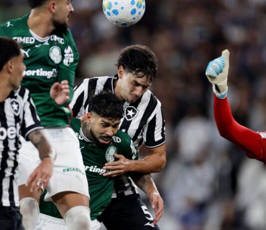 Botafogo segura Palmeiras e ajuda Flamengo, novo líder do Brasileirão Botafogo segura Palmeiras e ajuda Flamengo, novo líder do Brasileirão