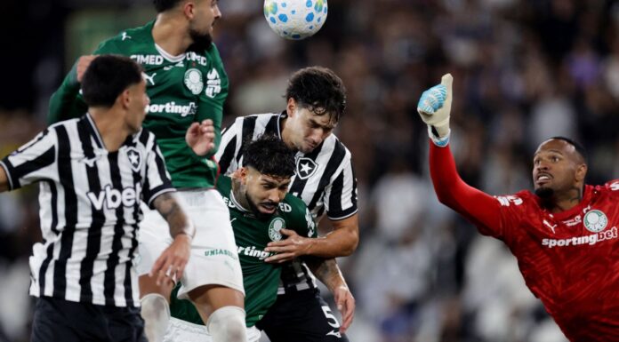 Botafogo segura Palmeiras e ajuda Flamengo, novo líder do Brasileirão Botafogo segura Palmeiras e ajuda Flamengo, novo líder do Brasileirão