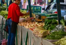 Guia Alimentar completa 20 anos de incentivo à comida de verdade Guia Alimentar completa 20 anos de incentivo à comida de verdade