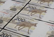 CVM multa Vorcaro em R$ 20 milhões por fraude em fundo imobiliário