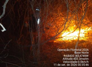 Incêndio Avança No Norte Da Bahia E Mobiliza Bombeiros E Duas Aeronaves