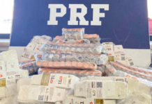 PRF Encontra 503 Ampolas De Tirzepatida Escondidas Em Carro Na Bahia; Passageiro Diz Que Comprou No Paraguai